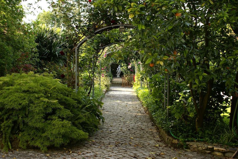 Quinta De Sao Lourenco อนาเดีย ภายนอก รูปภาพ