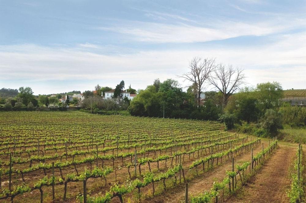 Quinta De Sao Lourenco อนาเดีย ภายนอก รูปภาพ