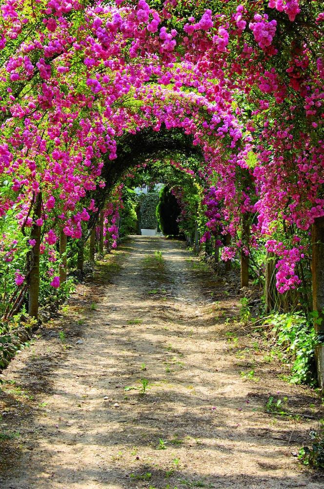 Quinta De Sao Lourenco อนาเดีย ภายนอก รูปภาพ